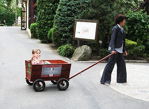 Amabud przyjacielem płockiego ZOO