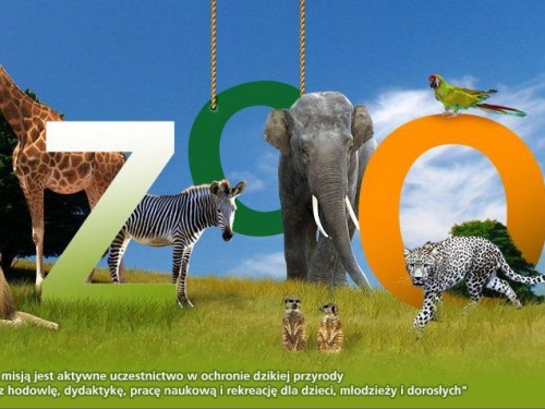 Odwiedź zoo z Deweloperem